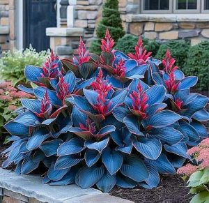 Хоста Грин Фог купить по цене от 669р. в интернет-магазине «Посадика» с доставкой почтой в в Светлыйе и по всей России – [изображение №1].