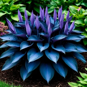 Хоста Сикрет Гров купить по цене от 570р. в интернет-магазине «Посадика» с доставкой почтой в в Светлыйе и по всей России – [изображение №1].