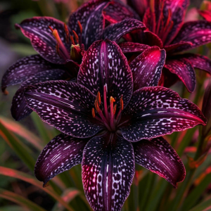 Лилейник Вояж купить по цене от 699р. в интернет-магазине «Посадика» с доставкой почтой в в Светлыйе и по всей России – [изображение №1].